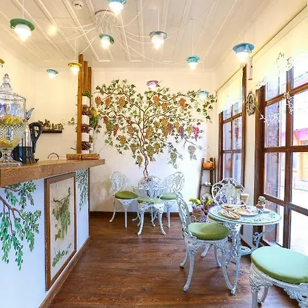 Hotel Trilye Bay C *